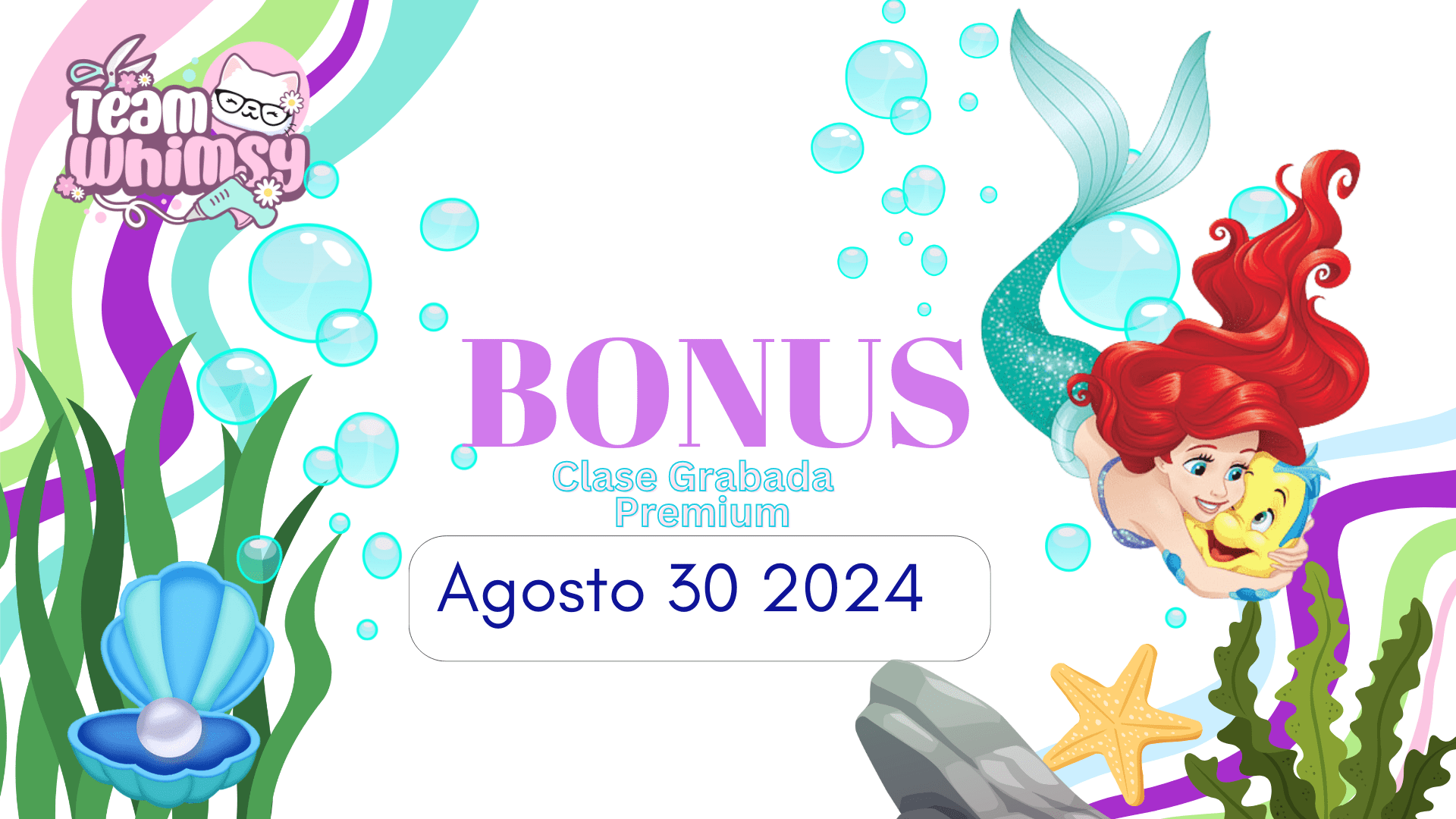 BONUS – Premium