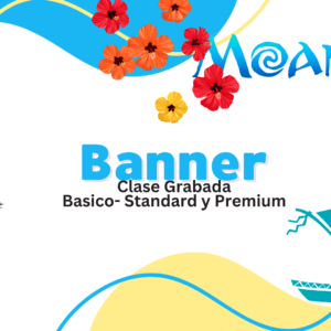 Banner -Moana 2