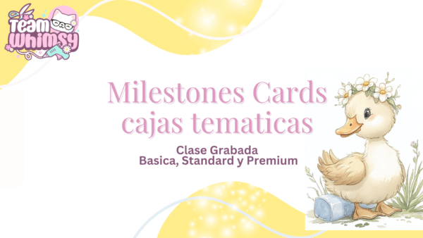 Milestone Cards - Cajas tematicas - Silly Goose