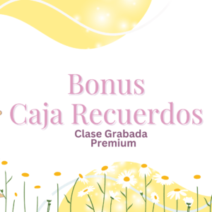 Caja Recuerdos- Silly Goose
